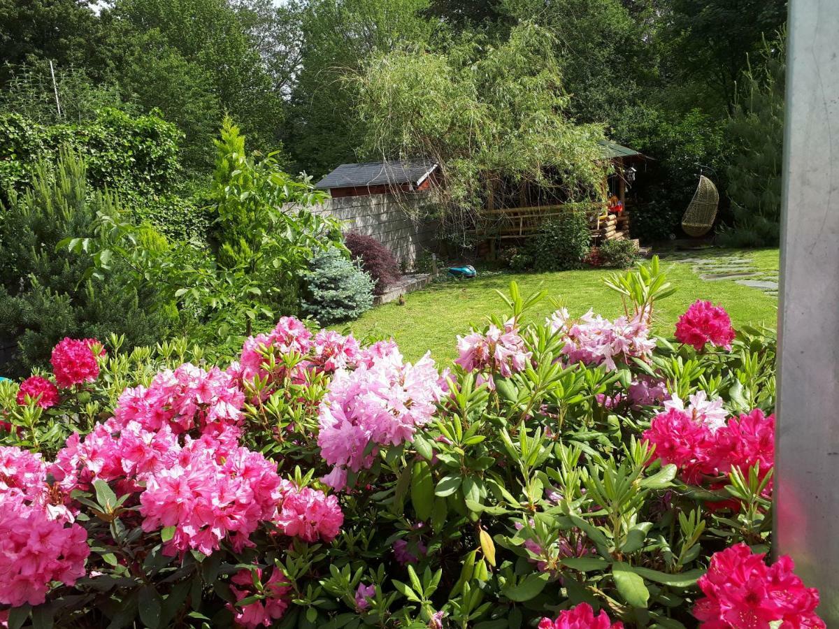 Villa-Seerose Köln Eksteriør bilde